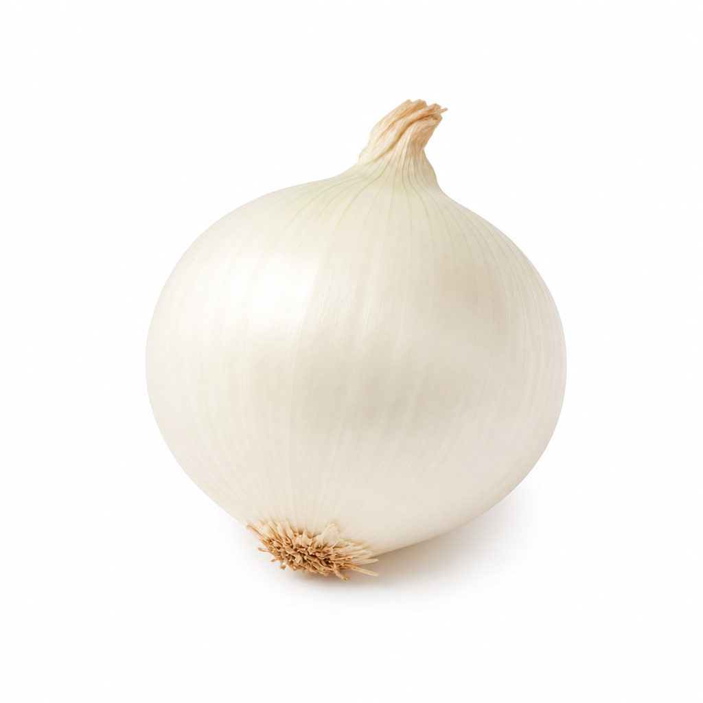 Cebolla