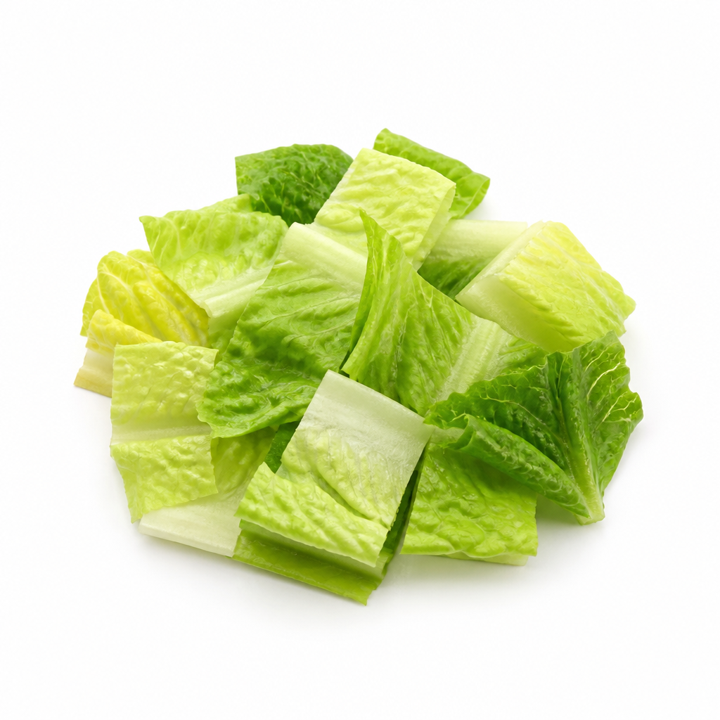 Lechuga Romana
