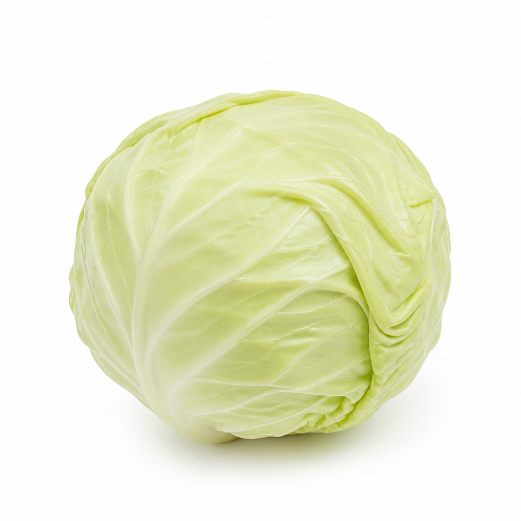 Repollo
