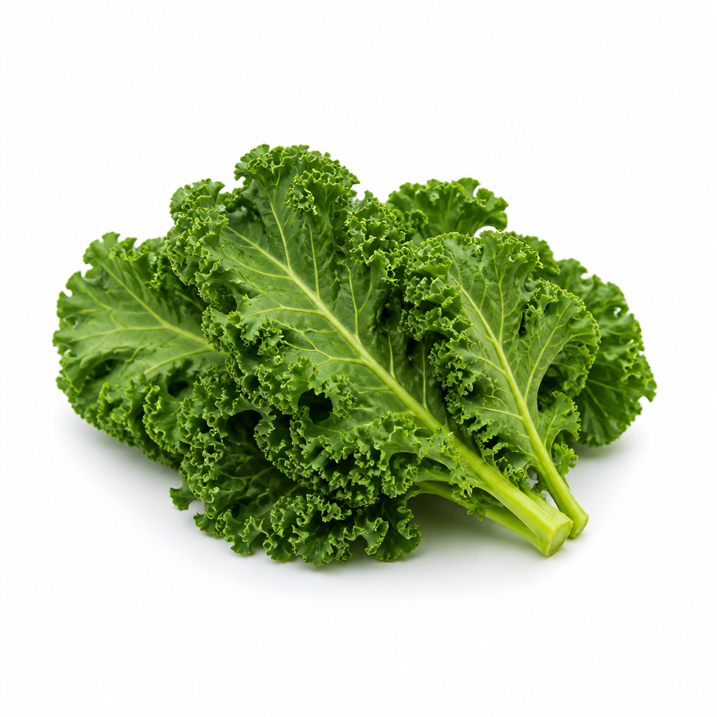 Lechuga Kale